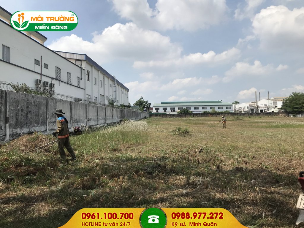 Báo giá dịch vụ cắt cỏ