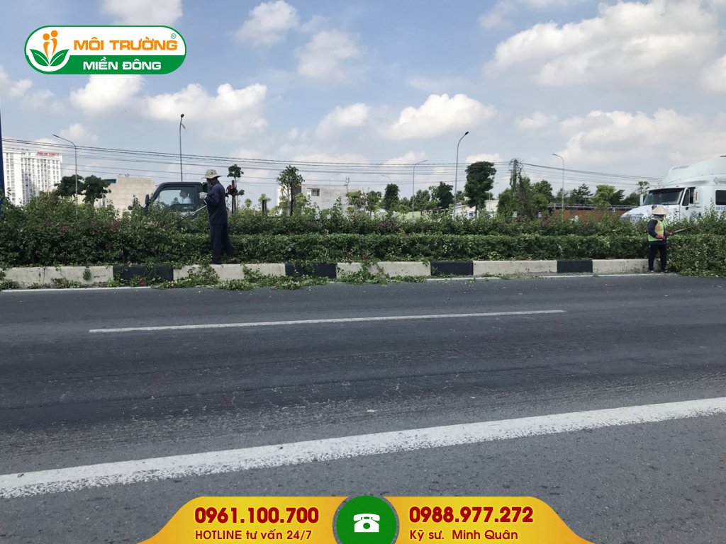 Đơn giá dịch vụ cắt cỏ