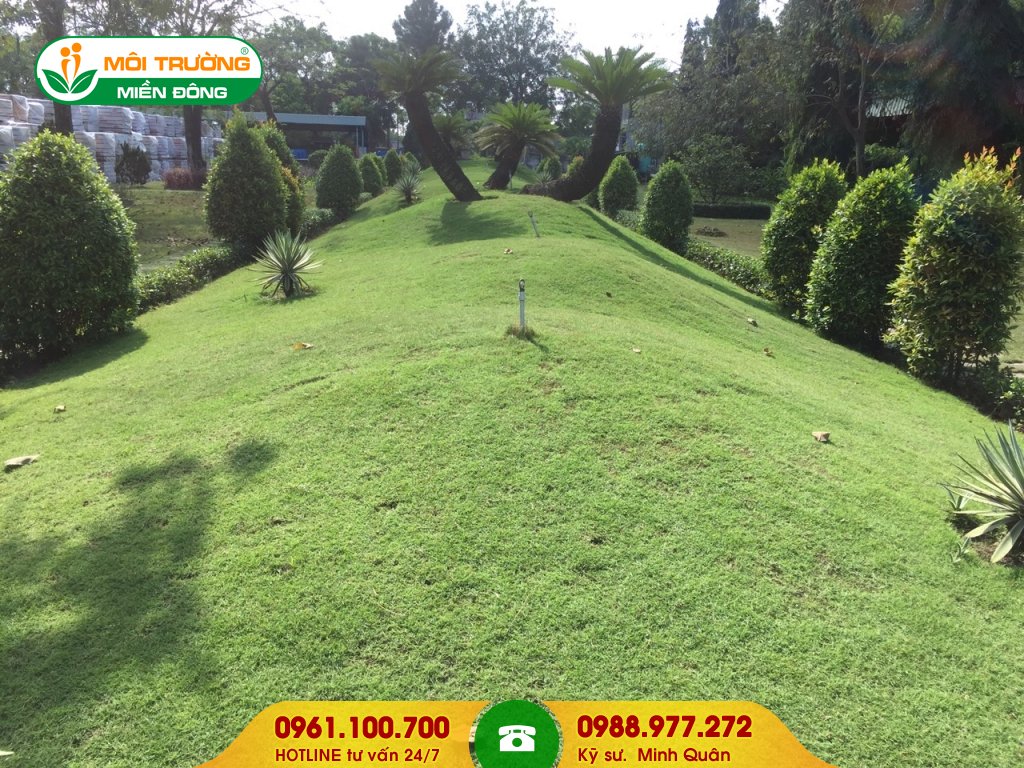 Chi phí dịch vụ cắt cỏ