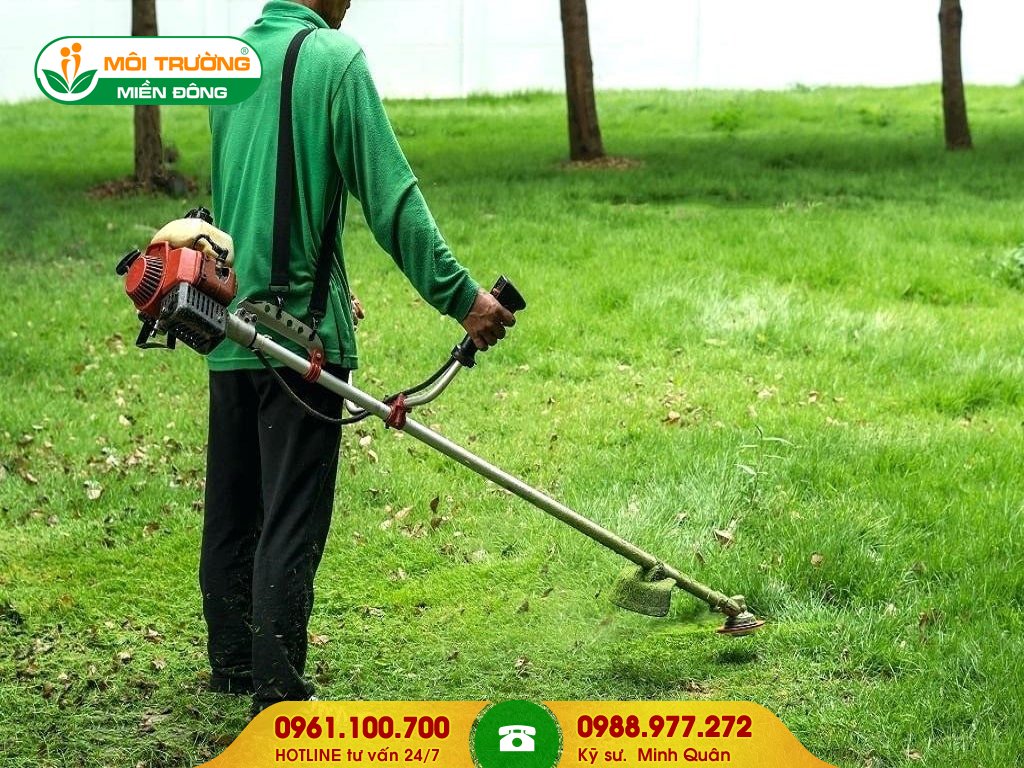 Báo giá dịch vụ cắt cỏ công trình