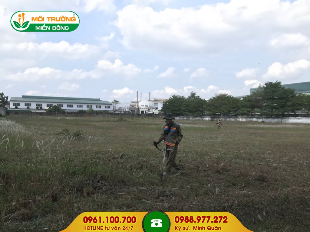 Bảng giá dịch vụ cắt cỏ công ty