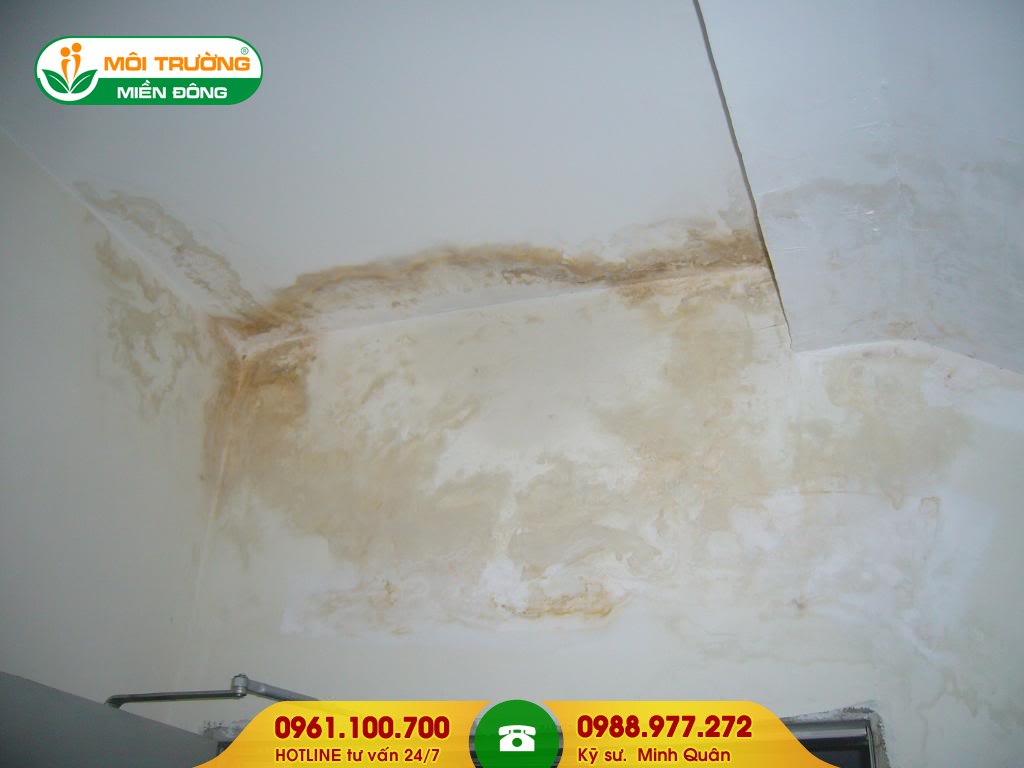 Báo giá dịch vụ tẩy rửa rêu mốc trên tường