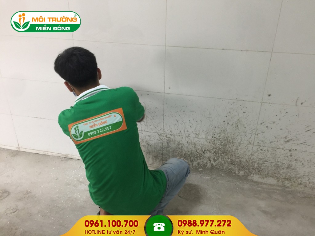 Dịch vụ vệ sinh tường bao